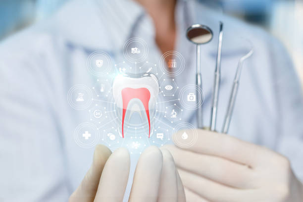 Best Sedation Dentistry  in Wesley Chapel, FL